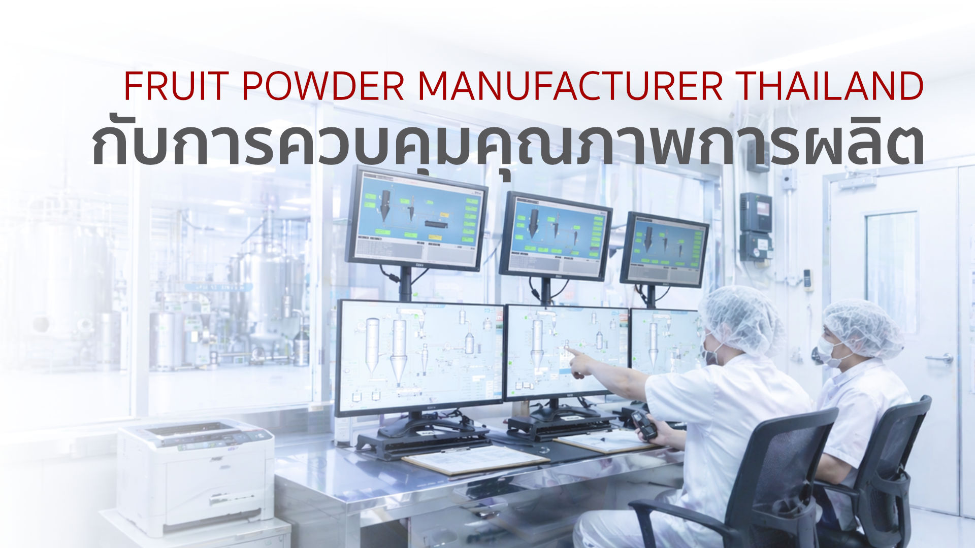 Fruit powder manufacturer Thailand