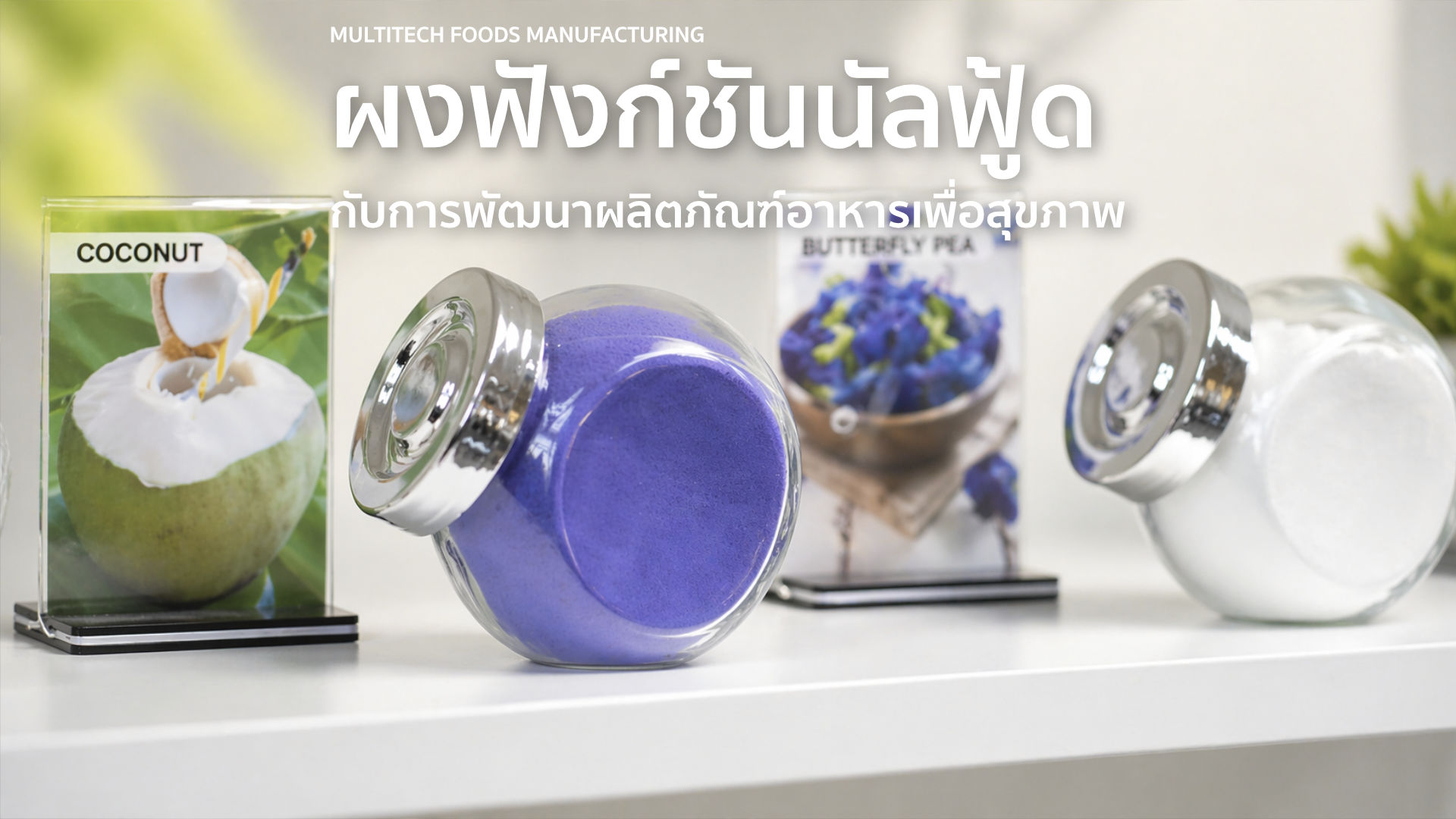 ผงฟังก์ชันนัลฟู้ด