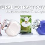 Natural extract powder Thailand