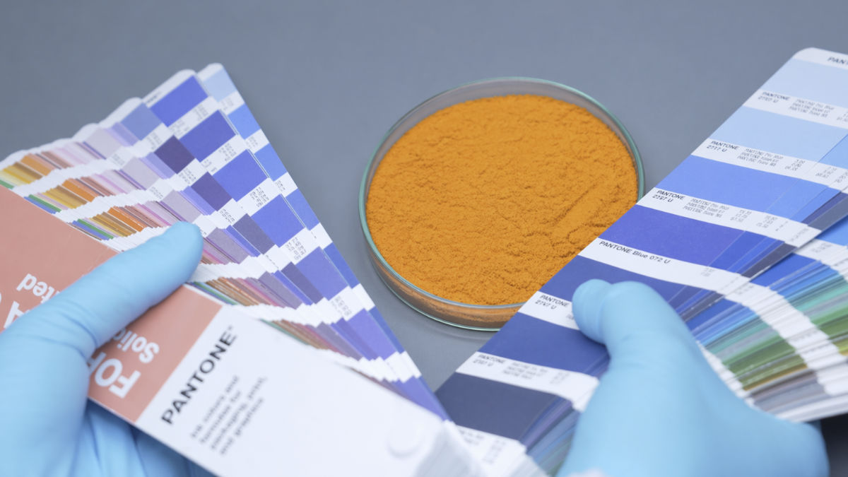 ผงเครื่องปรุงอาหาร