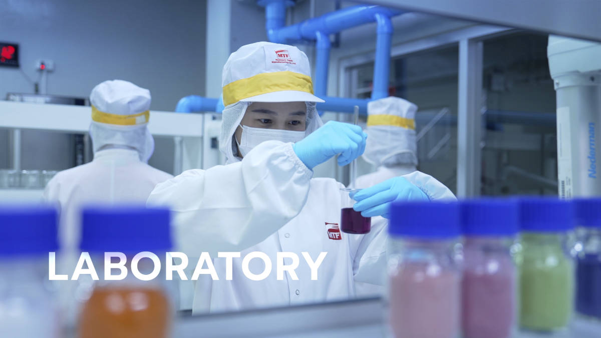 Powdered vegetable supplier