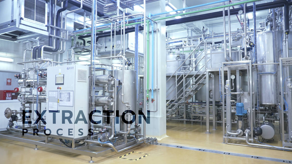 Natural extract powder Thailand