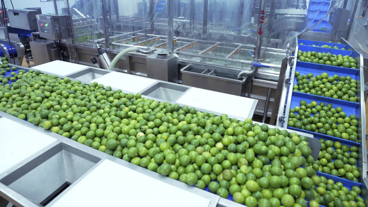 ผู้จำหน่ายส่วนผสมอาหาร